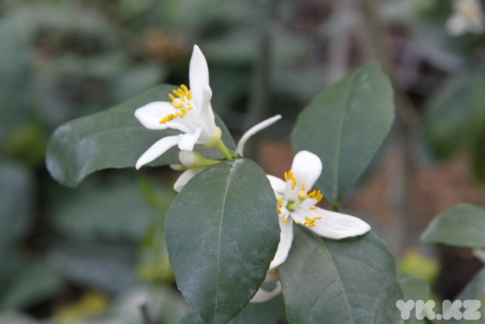 Что делает женщину счастливой? - PR