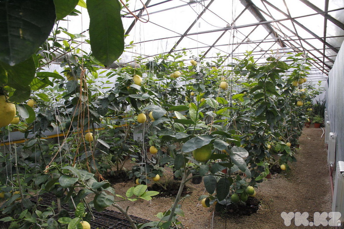 Что делает женщину счастливой? - PR