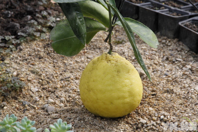 Что делает женщину счастливой? - PR