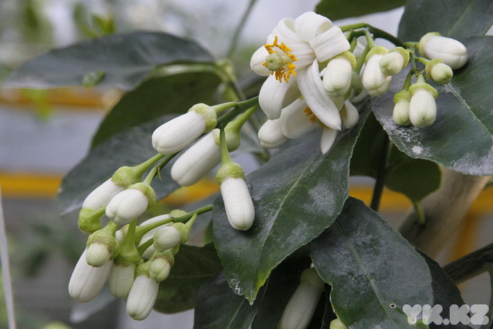 Что делает женщину счастливой? - PR