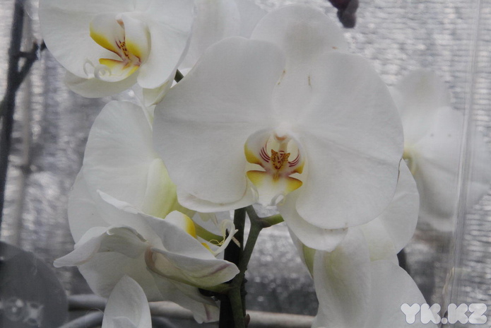 Что делает женщину счастливой? - PR