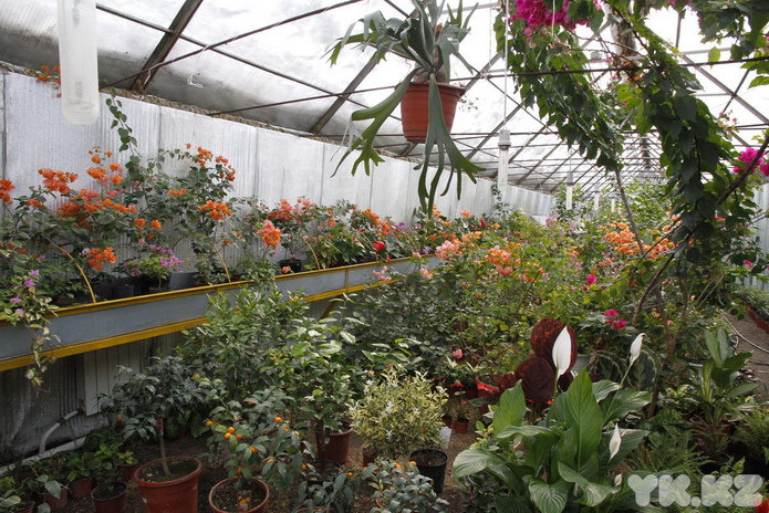 Что делает женщину счастливой? - PR