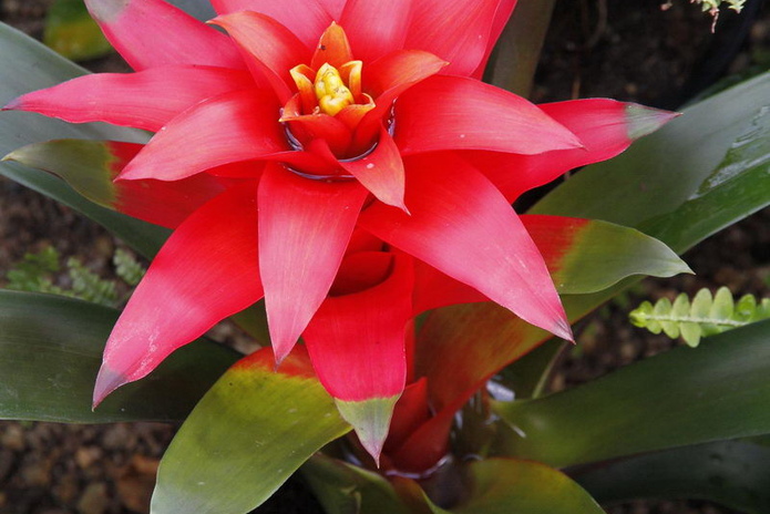 Что делает женщину счастливой? - PR