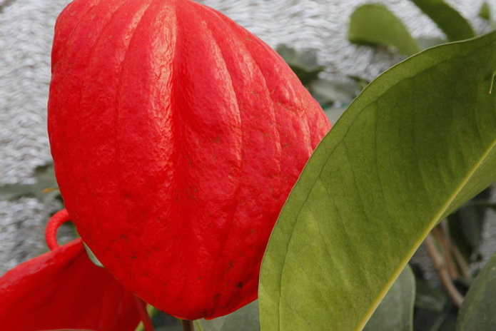 Что делает женщину счастливой? - PR