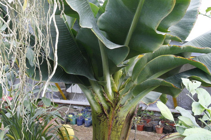 Что делает женщину счастливой? - PR