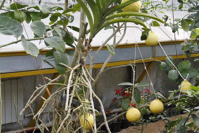 Что делает женщину счастливой? - PR