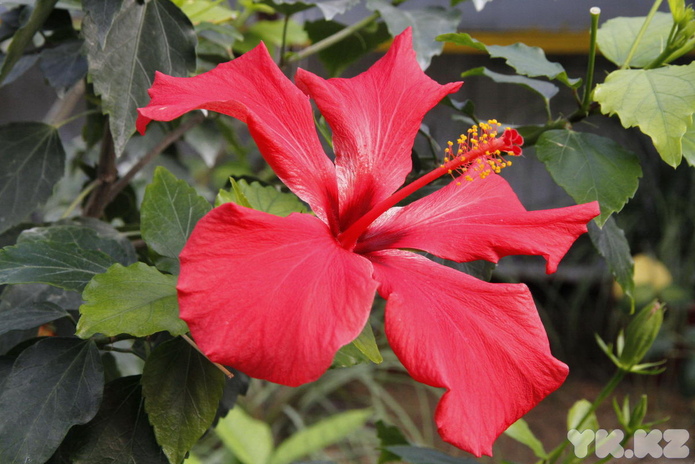 Что делает женщину счастливой? - PR