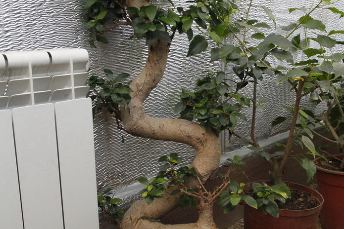 Что делает женщину счастливой? - PR