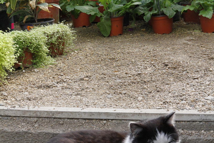 Что делает женщину счастливой? - PR