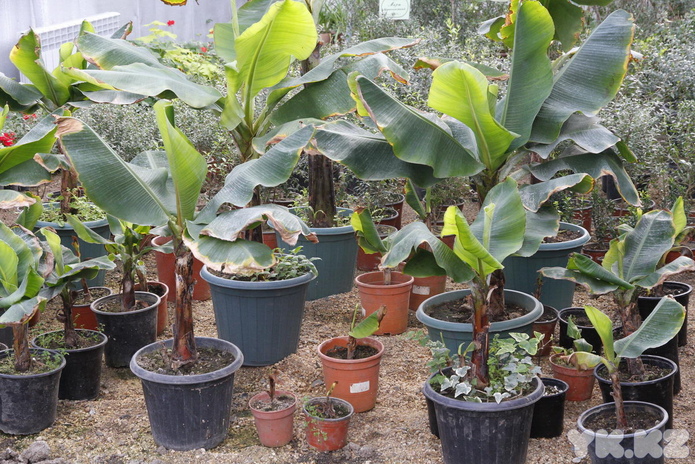 Что делает женщину счастливой? - PR