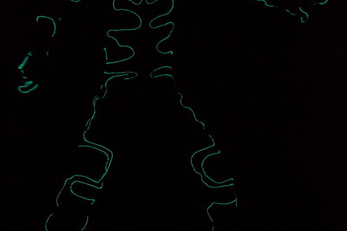 Шоу для умников и умниц (+фото)