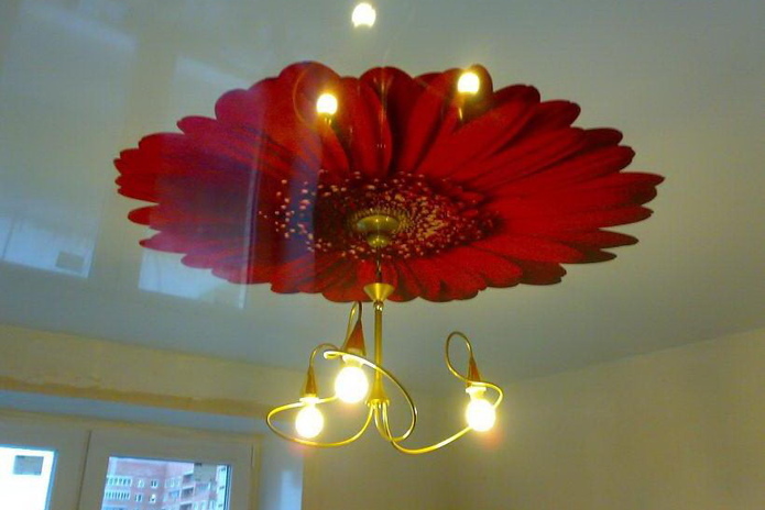 Всё, что душе угодно - PR