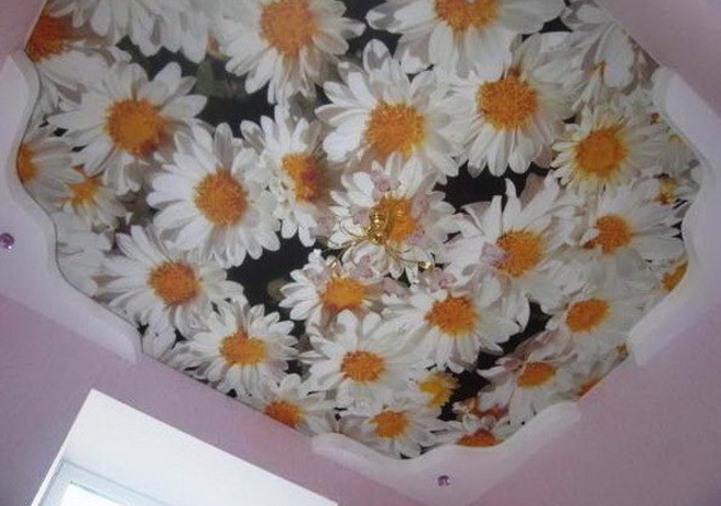 Всё, что душе угодно - PR