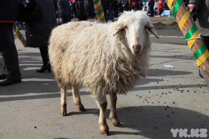 Весна пришла (+фото)