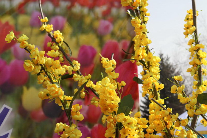 Весна пришла (+фото)