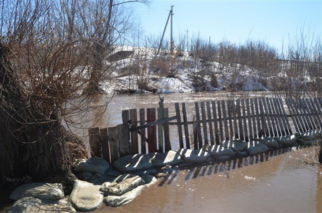 Это весна (+фото, видео)