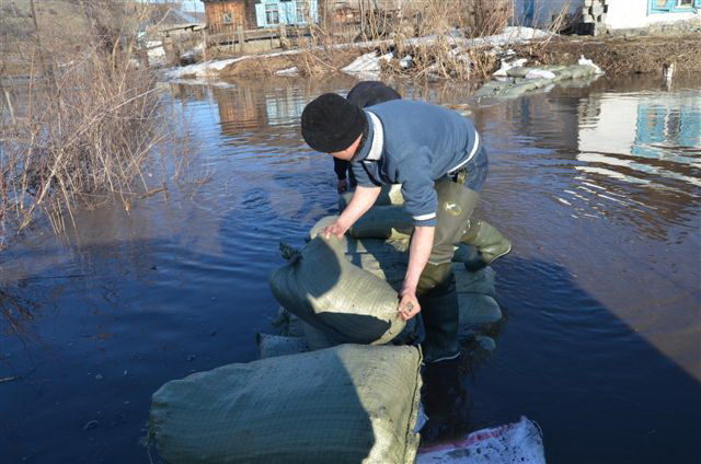 Это весна (+фото, видео)