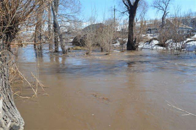 Это весна (+фото, видео)