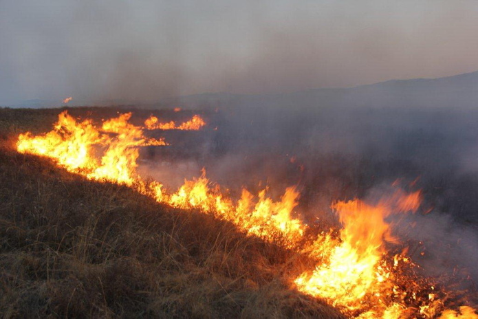 Большой степной пожар