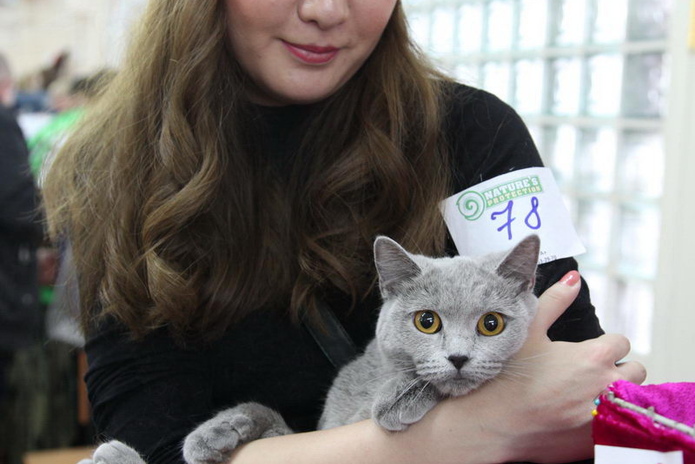 Кошкин апрель (+фото)