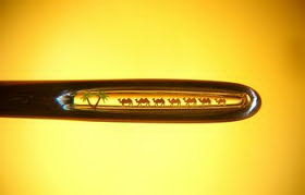 Диво под микроскопом