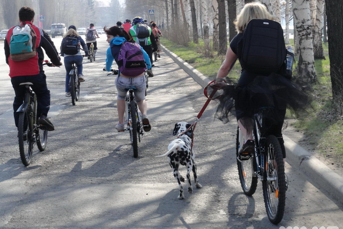 Весна на колёсах (+фото)