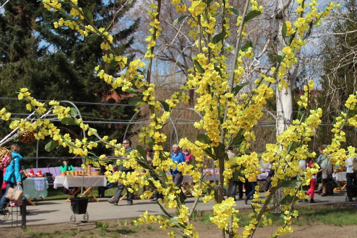 Светлая седмица (+фото)