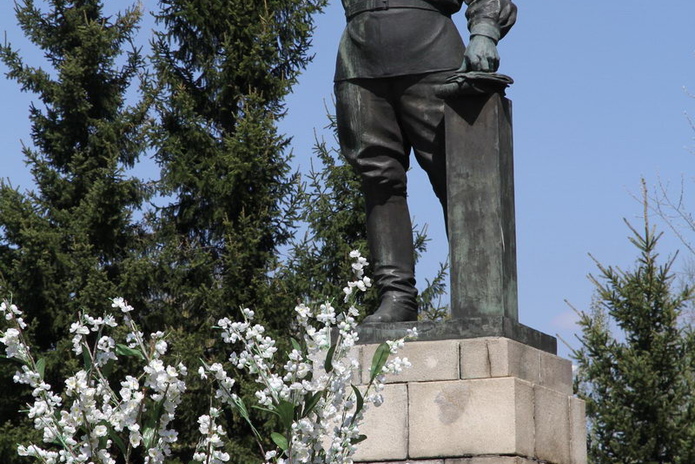 Тюльпанные ковры