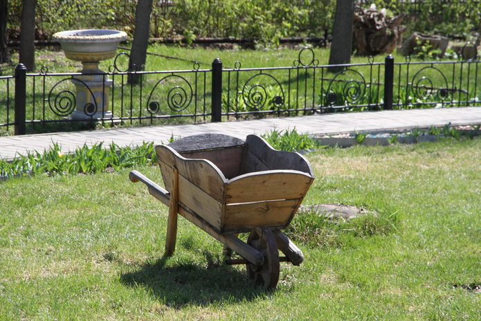 Тюльпанные ковры