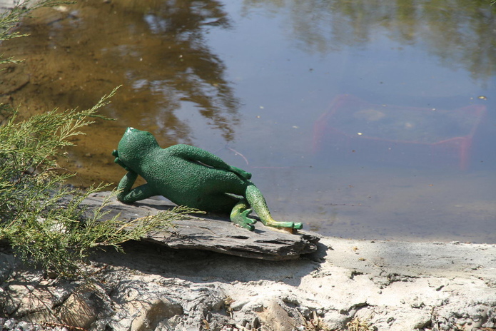 Тюльпанные ковры