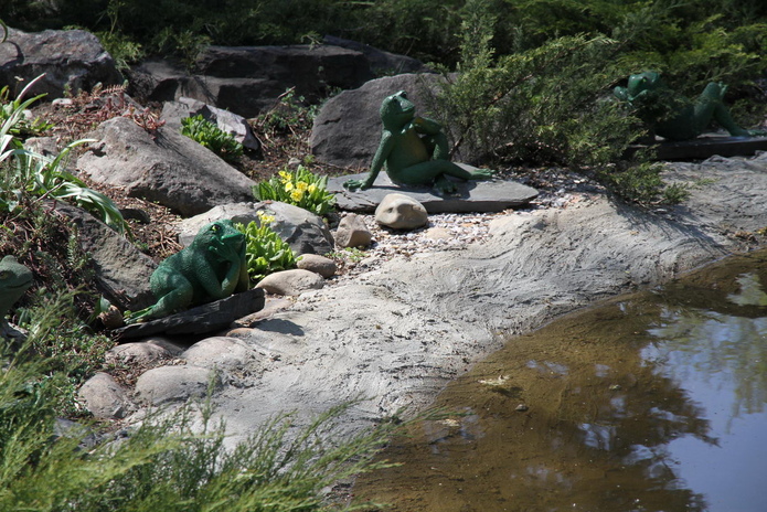 Тюльпанные ковры