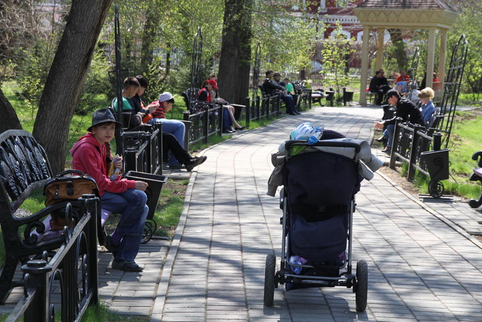 Тюльпанные ковры