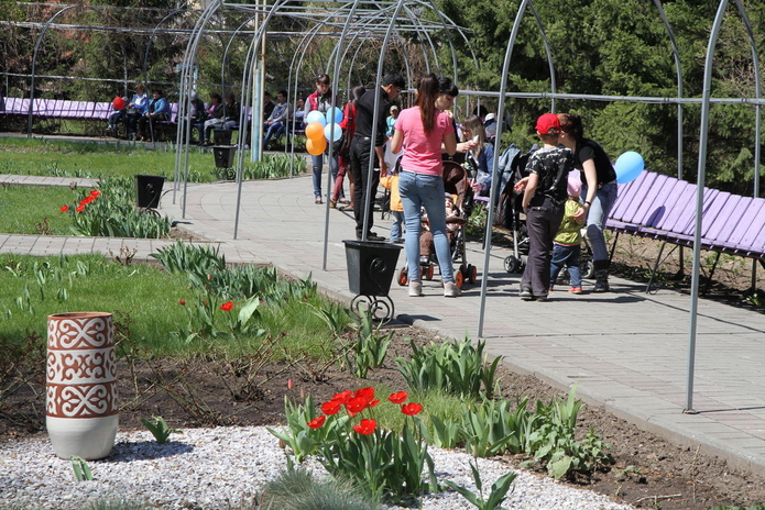 Тюльпанные ковры