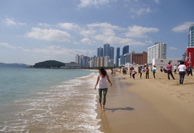 Птица певчая