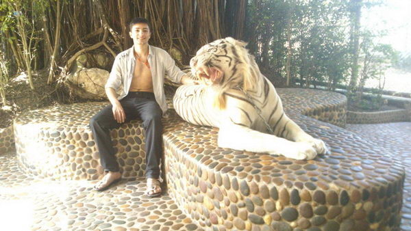 Птица певчая