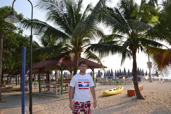 Птица певчая