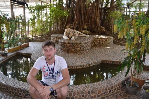 Птица певчая