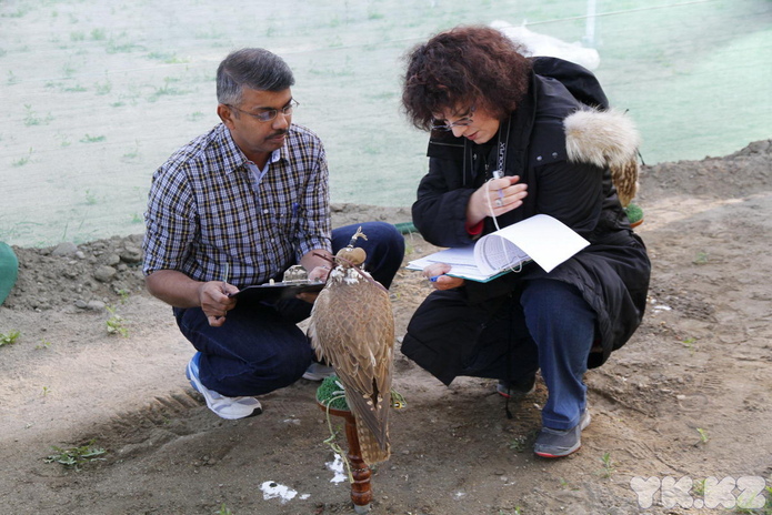 Подарок – жизнь (+фото)