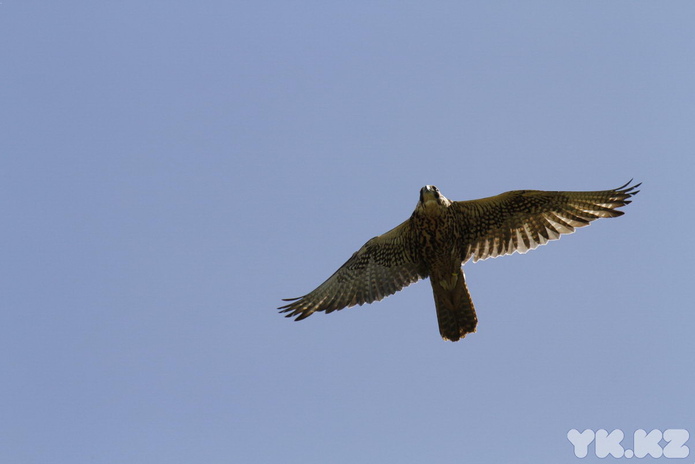 Подарок – жизнь (+фото)