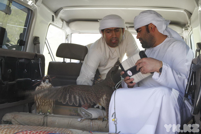 Подарок – жизнь (+фото)