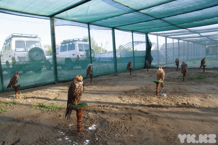 Подарок – жизнь (+фото)