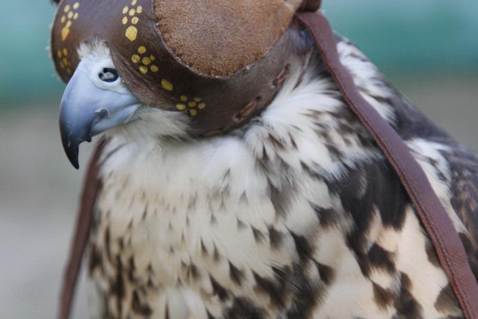 Подарок – жизнь (+фото)