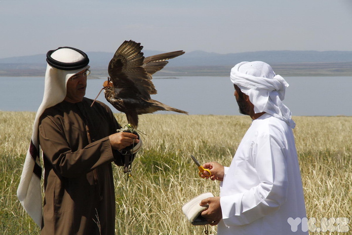 Подарок – жизнь (+фото)