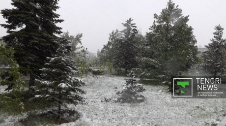 Снег выпал в Семее