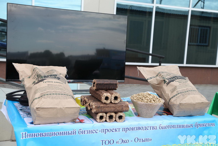 Зелёная экономика для ВКО (+фото)