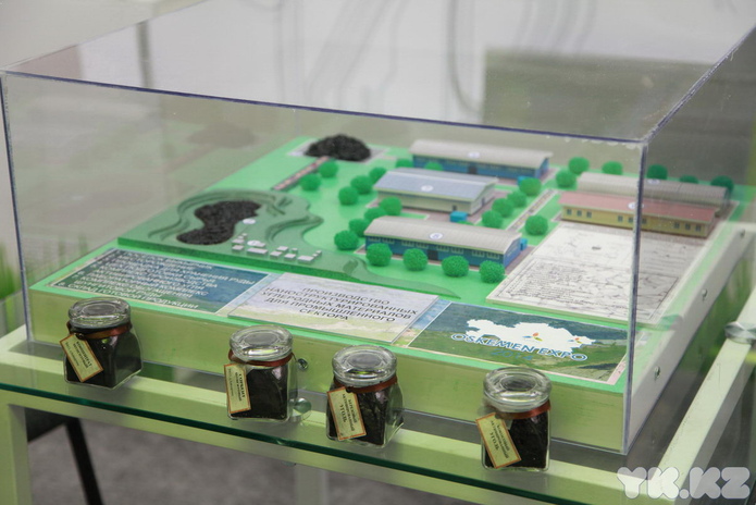 Зелёная экономика для ВКО (+фото)