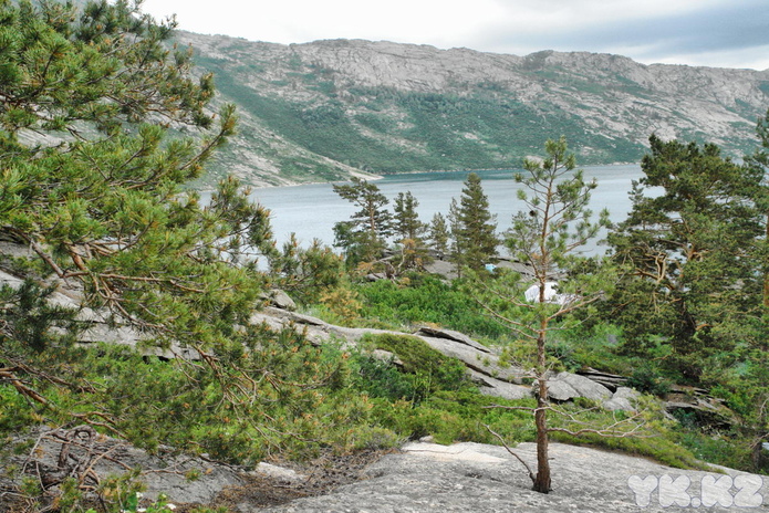 Помощь из другой страны