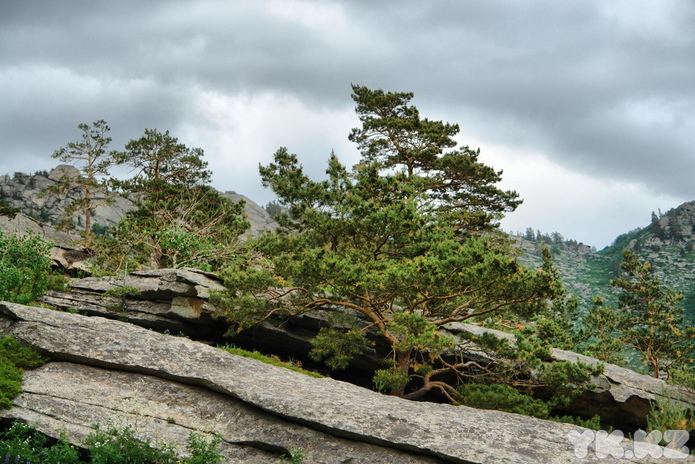 Помощь из другой страны