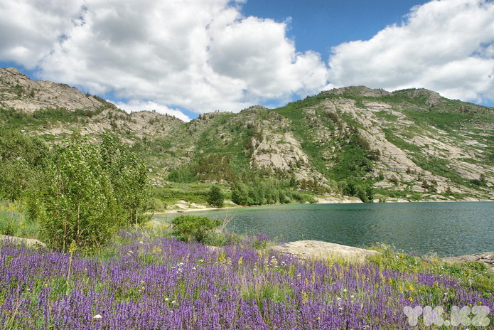 Помощь из другой страны
