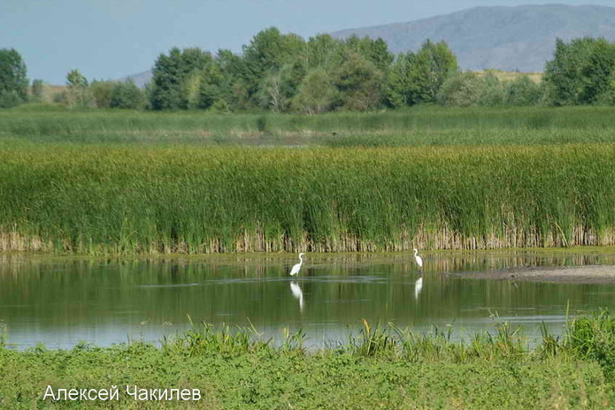 Начало лета ознаменуется дождем